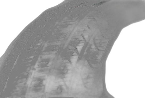Pirelli Cinturato P7 All Season