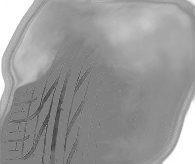 Pirelli P6000