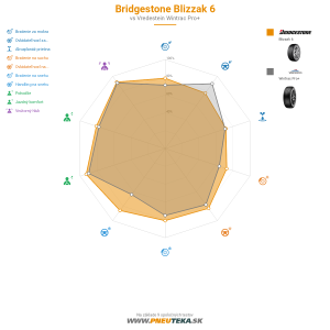 Bridgestone Blizzak 6 Náhľadový obrázok 1200x1200