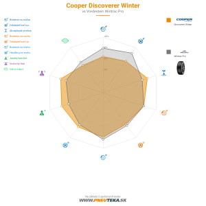 Cooper Discoverer Winter Náhľadový obrázok 1200x1200