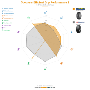 Goodyear Efficient Grip Performance 2 Náhľadový obrázok 1200x1200