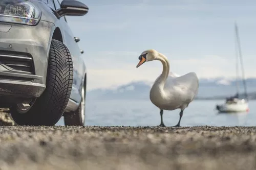 Nokian Seasonproof Náhľadový obrázok 9232x6155